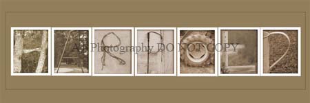 12x36%20harpold