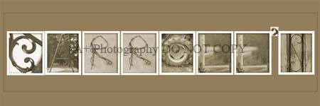 12x36_Carroll's_jpg