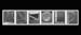 8x18%20anrold